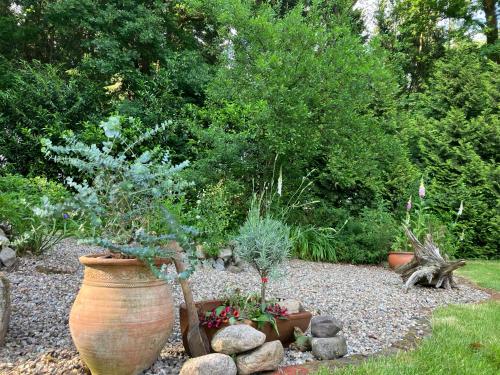 a garden with a large pot with plants in it at Haus im Grünen in Schneverdingen