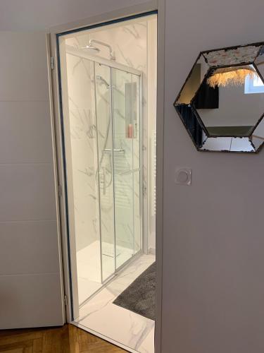 - une porte de douche en verre dans une chambre avec un miroir dans l'établissement Appartement Centre ville, à Toulouse