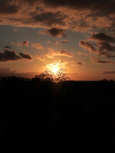 a sunset over a field with a tree in the foreground at Le Ti Bourgeois in Rivière-Salée