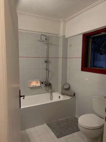 a bathroom with a shower and a toilet and a tub at polyxeni house in Lygia