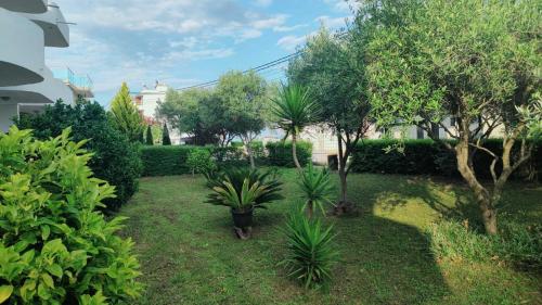 a garden with trees and plants in a yard at Lula Apartments in Ulcinj