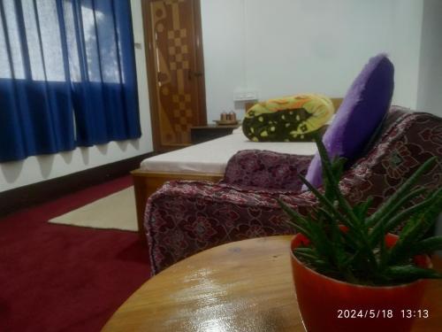 a room with a chair and a table with a plant at Dawn Home Stay in Darjeeling
