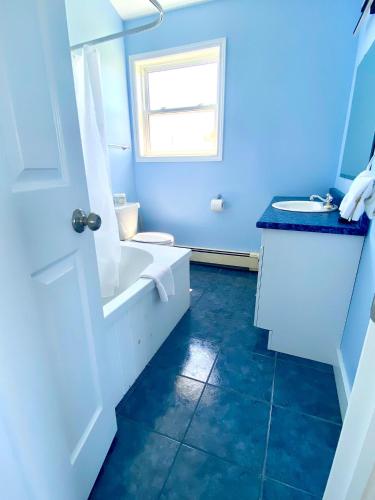 a blue bathroom with a toilet and a sink at Sundance Cottages in Cavendish