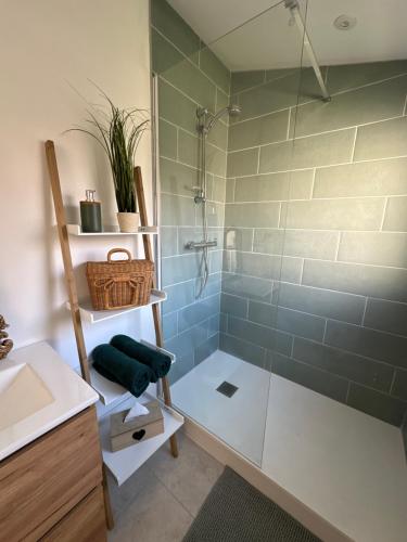 une salle de bain avec douche et lavabo dans l'établissement Studio Le Mans, au Mans