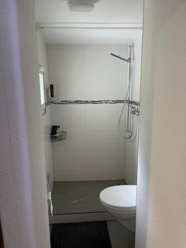 a bathroom with a shower and a toilet at Haus Alpenhof in Wassen