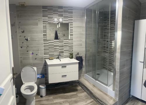 une salle de bain avec une douche, un lavabo et des toilettes dans l'établissement La maison du retour aux sources, à Montigny-les-Monts