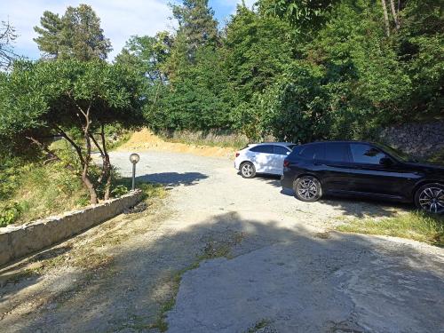 two cars parked on the side of a road at Villa Patrizia in La Spezia