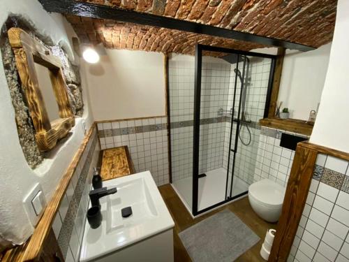 a bathroom with a sink and a shower and a toilet at Apartmány u Dostálů in Bedřichov