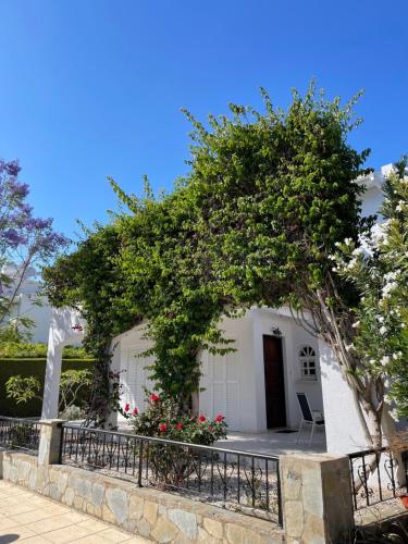 una pequeña casa blanca con un gran árbol en Coral Bay Villa Daniella, en Bahía de Coral