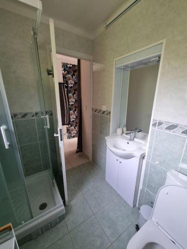 une salle de bain avec un lavabo, une douche et des toilettes dans l'établissement Cannes 20' à pieds Palais wifi, à Cannes