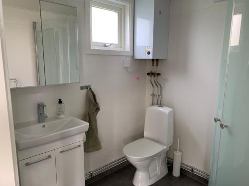 ein Badezimmer mit Waschbecken, Toilette und Spiegel in der Unterkunft Hassels hus in Vikingstad