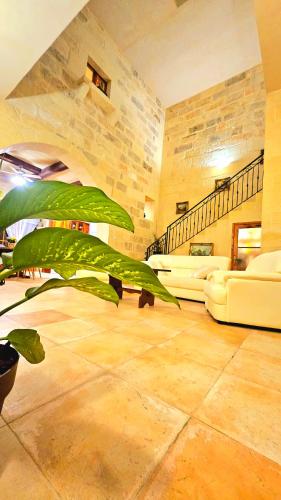 a living room with couches and a plant at Traditional Farmhouse Central Gozo in Xagħra
