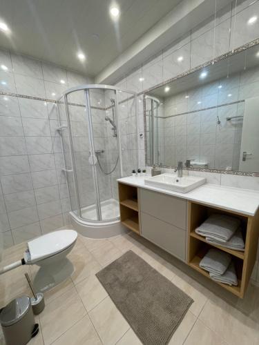 een badkamer met douche, wastafel en toilet bij Fundis Apartment in Bad Harzburg