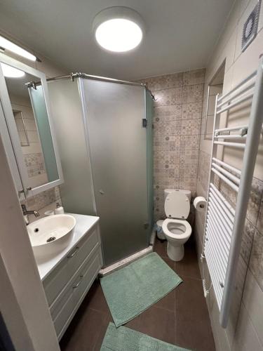 a bathroom with a shower and a toilet and a sink at Villa ZöldFüge in Balatonfůzfő