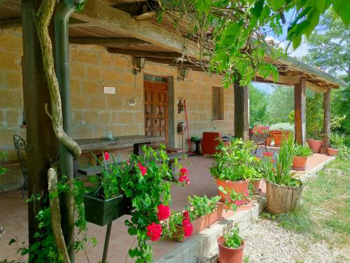 un patio con un montón de plantas en macetas en Bio Agriturismo Il Cavone, en Sovana