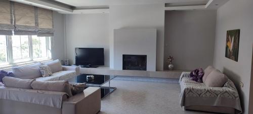 Avenue Luxury Home