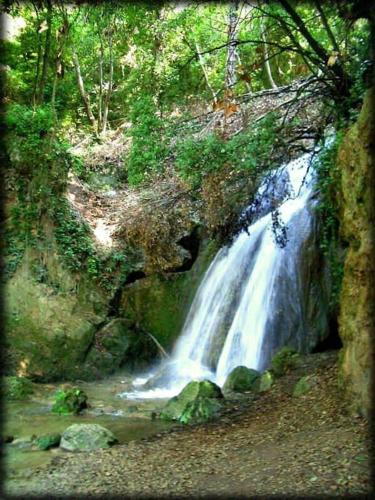 a waterfall in the middle of a forest at Casa Vacanze Fonte del Menotre in Foligno