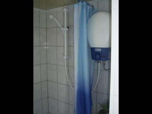 a shower in a bathroom with a blue shower curtain at Kleine Ferienwohnung in der Natur in Rheinsberg
