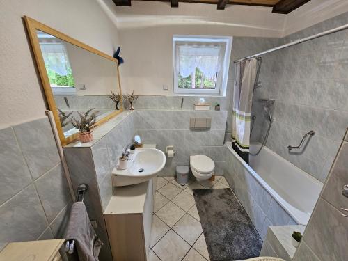a bathroom with a sink and a toilet and a shower at Ferienhaus JULKA am See mit Kamin & WLAN - Domek Letniskowy JULKA in Teerau