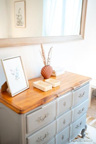 une commode avec une photo en haut dans l'établissement Villa Vichéia - Appartement 11, à Vichy
