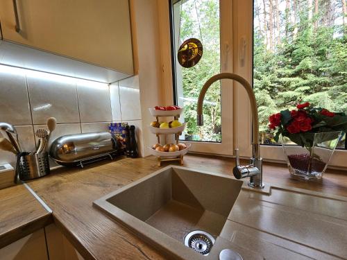 a kitchen counter with a sink and a window at Ferienhaus JULKA am See mit Kamin & WLAN - Domek Letniskowy JULKA in Teerau