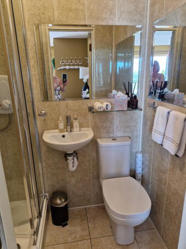 een badkamer met een toilet, een wastafel en een douche bij The Brown Hen Guest Accommodation in Bandon