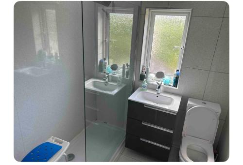 a bathroom with two sinks and a toilet at Mournview in Belfast