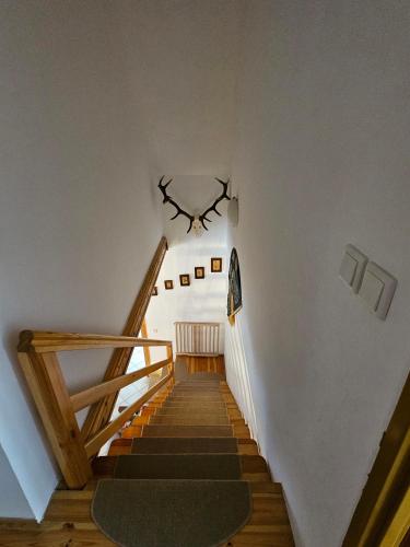 a hallway with stairs with a antlers on the wall at Ferienhaus JULKA am See mit Kamin & WLAN - Domek Letniskowy JULKA in Teerau