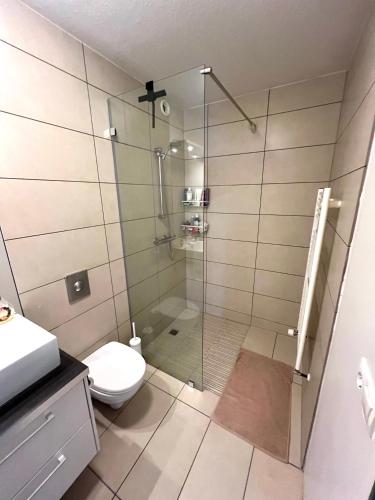 a bathroom with a toilet and a glass shower at Comfy flat in Kópavogur in Reykjavík