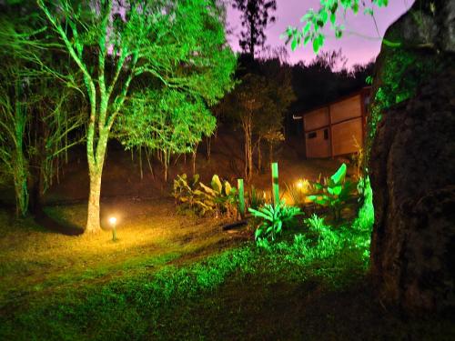 a night view of a garden with a tree and lights at Recanto Curiaçu in Cunha