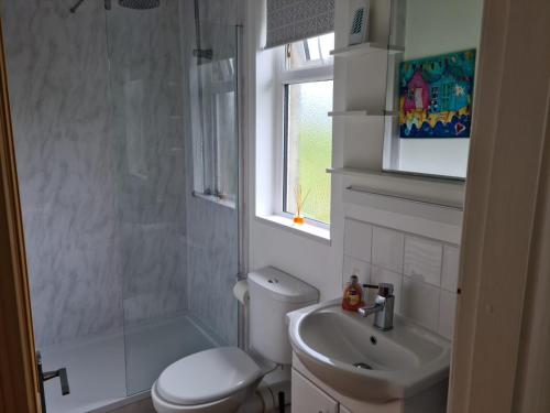 a bathroom with a toilet and a shower and a sink at Ty Bach in Caernarfon