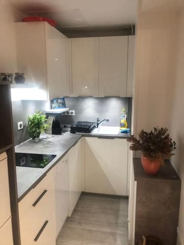 une cuisine avec des armoires blanches et un évier dans l'établissement Appartement vue mer et Esterel avec piscine, à Saint-Raphaël