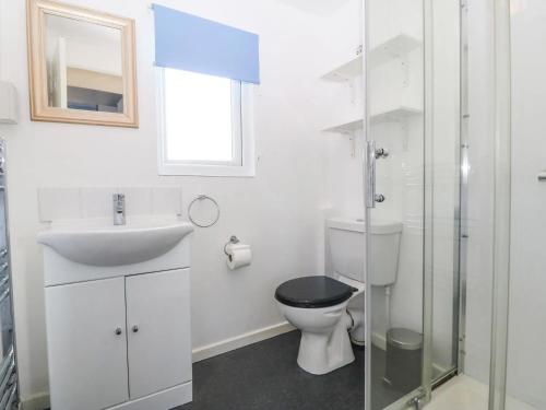 a white bathroom with a toilet and a sink at Lletyr Bugail in Caernarfon