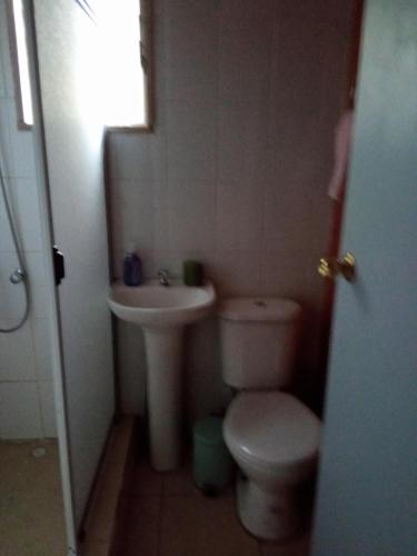 a small bathroom with a toilet and a sink at Cabaña Gloria in Coñaripe