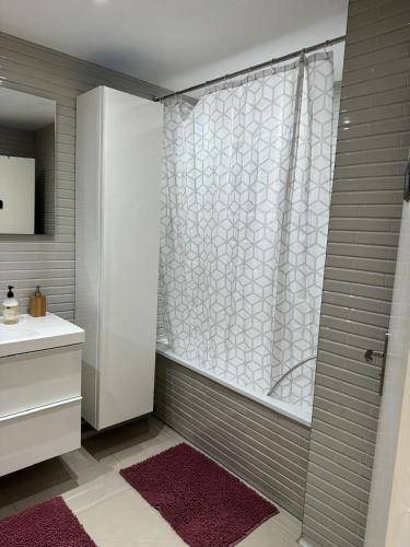 une salle de bain avec douche et lavabo dans l'établissement Appartement - La Défense, à Puteaux