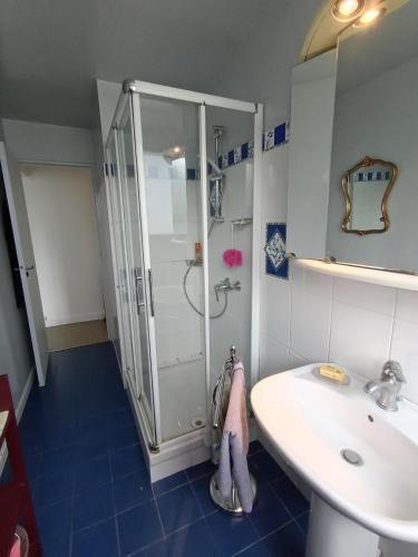 une salle de bain avec douche et lavabo dans l'établissement chambre double lumineuse Paris centre deux pas du métro, à Paris