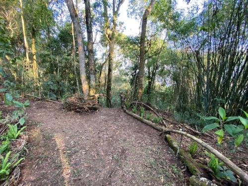 Taman di luar Chalé Floresta Amada