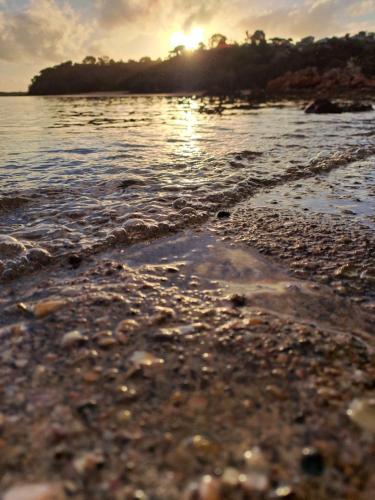 a view of the shore of a body of water at Whatuwhiwhi TOP 10 Holiday Park in Tokerau Beach