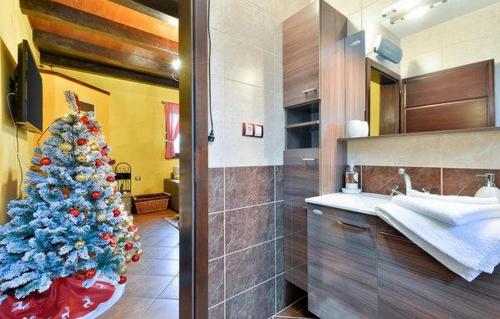 a christmas tree in a bathroom with a sink at Secluded holiday house Glavnica Donja, Zagreb - 23154 in Belovar