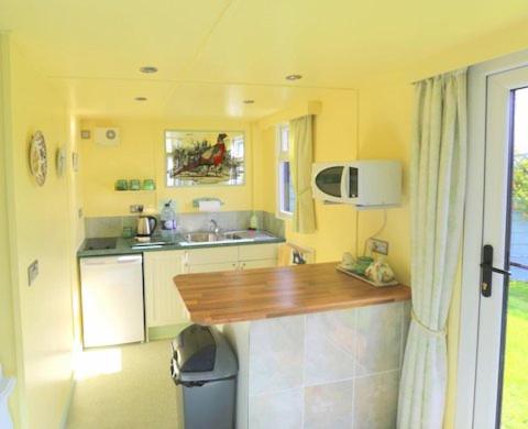 a small kitchen with a counter and a sink at Pheasant Suites in Colchester