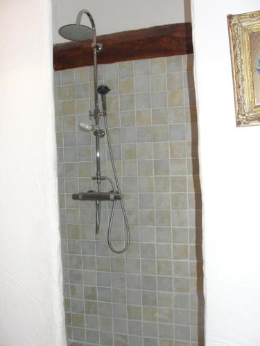 a shower with a shower head in a bathroom at Les Gîtes De La Chérine in Quinson