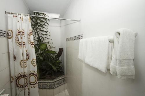 a bathroom with a shower with towels and a plant at Hotel 1492 in San José