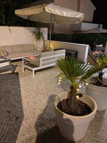 a patio with a couch and a palm tree in a pot at Seaview Kamenjak in Premantura