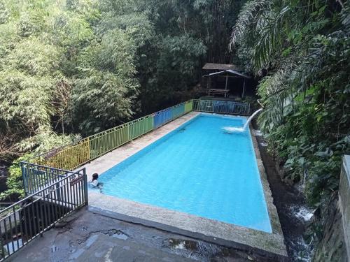 a swimming pool in the middle of a forest at Zinzi's All-Inclusive Homestay in Sangyang