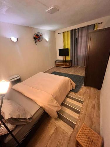 a bedroom with a bed and a television in it at Apartment with private rooftop 450 m from the beach in Flic-en-Flac