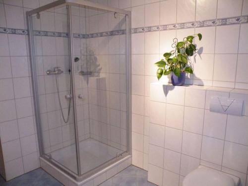 een badkamer met douche, toilet en plant bij Basche Comfortable holiday residence in Oberzissen