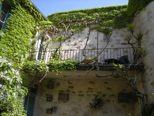 Κήπος έξω από το "Ancien Cafe" with courtyard