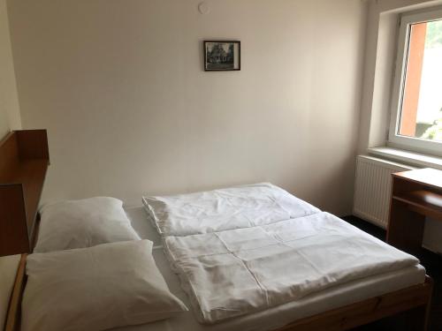 Imagen de la galería de Hotel Bartošovice, en Bartošovice v Orlických Horách
