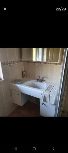 une salle de bain avec un lavabo et une machine à laver dans l'établissement Figuier, à Martigna