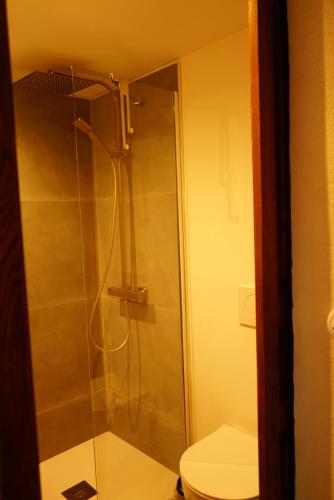 a bathroom with a shower and a toilet at Torra di Ciocce in Pino
